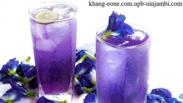Bunga Telang Rahasia Kesehatan dalam Setiap Kelopak Biru